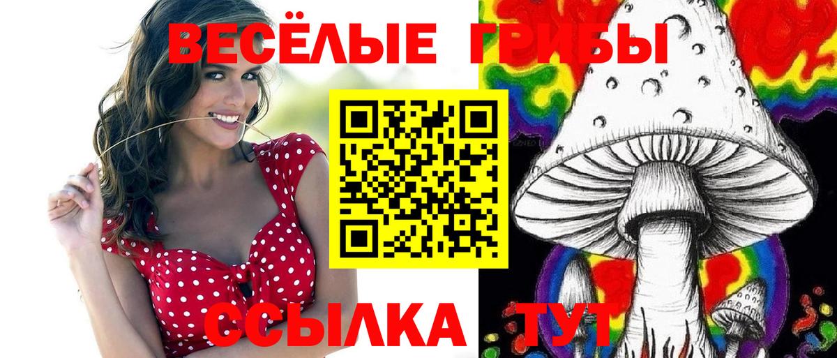 Каменка  Галлюциногенные грибы Magic Shrooms  Вход с VPN 