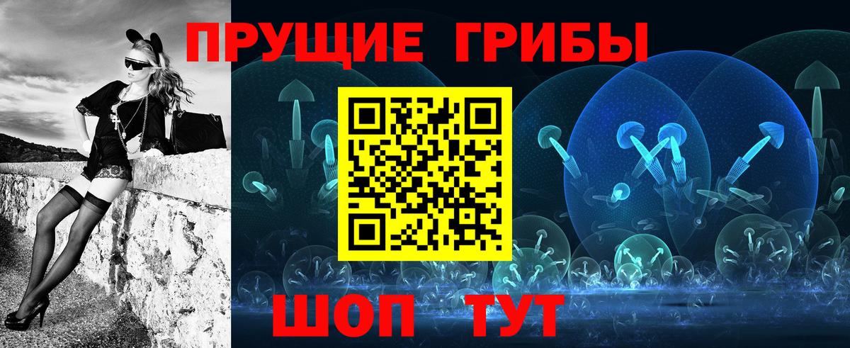Альфа ПВП Каменка
