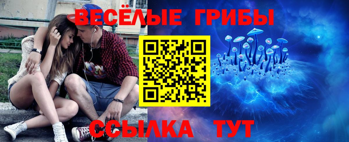 Псилоцибиновые грибы мицелий Каменка